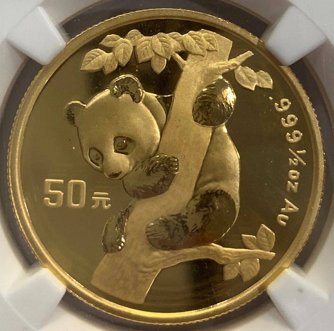 1996 1/2 oz China Gold Panda Large Date NGC MS69